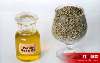 紫蘇籽油和亞麻籽油哪個好