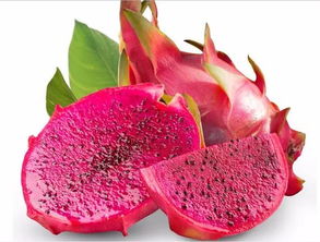 紅心火龍果含糖量高嗎