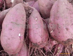 紅薯是碳水化合物嗎