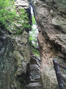 老君山坐哪個索道好