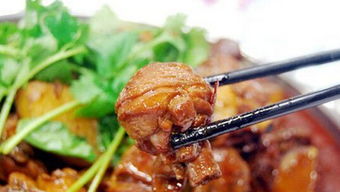 老狼大盤雞加盟費用大概要多少