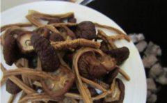 茶樹(shù)菇干要泡多久