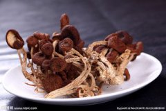 茶樹(shù)菇有毒嗎