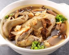 茶樹(shù)菇可以燉雞嗎