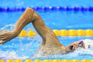 自由泳和蛙泳的區別是什么