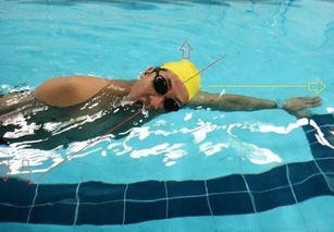 自由泳如何換氣