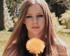 艾薇兒好聽的歌有哪些