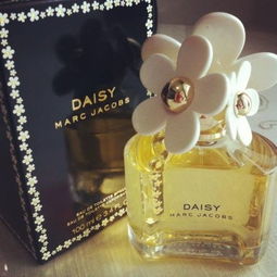 莫杰小雛菊哪款更好聞