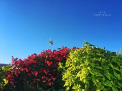 莫斯科的別稱是什么