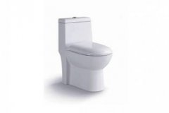 蒙娜麗莎馬桶怎么樣