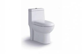 蒙娜麗莎馬桶怎么樣