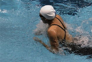 蛙泳和自由泳哪個快