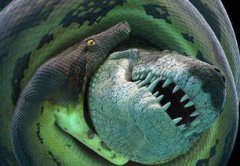 蛟龍和真龍有什么區(qū)別