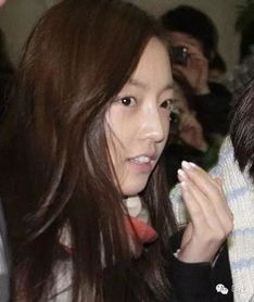 具荷拉為什么叫國民廁所