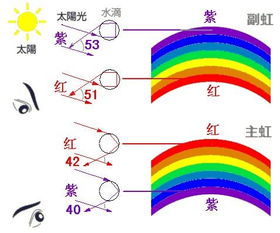 彩虹是怎么形成?它和水又有什么關系(簡答彩虹形成原因)