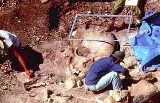 1979年昆侖山事件真相揭秘，竟如此恐怖（多人遇難）