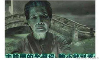 人死后會投胎嗎，不會永遠結束（會去另一個世界重生）