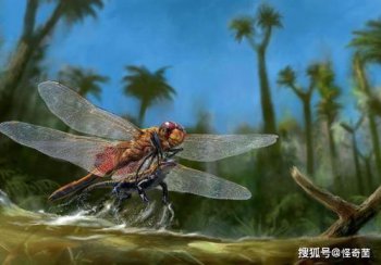 地球演變的五個時代，各時期代表性動植物和對應圖片