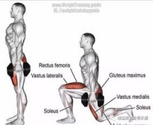 一頭肌是在什么部位，位置在二頭肌的下面部分