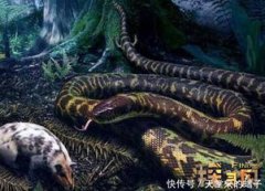 一億年巨蟒沃那比蛇化蛟龍，一口吃掉遠古霸王龍（圖片）