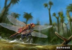 地球演變的五個時代,各時期代表性動植物和對應圖片