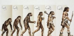 人類進(jìn)化的六個(gè)階段圖，猿猴向人類進(jìn)化的最初狀態(tài)