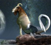 摩羯是什么動物，上身是山羊，下身卻是魚尾