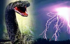 1995年安徽巨蟒渡劫事件,一道閃電撕開夜空蟒蛇精化龍失敗