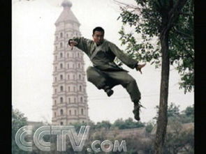 揭秘中國(guó)武術(shù)最兇狠的拳種，可以點(diǎn)穴甚至可以飛檐走壁
