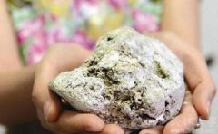 龍涎香是什么東西，說(shuō)通俗點(diǎn)就是抹香鯨的糞便