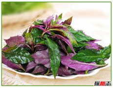 血皮菜到底有毒沒(méi)，血皮菜被認(rèn)為有致癌的風(fēng)險(xiǎn)