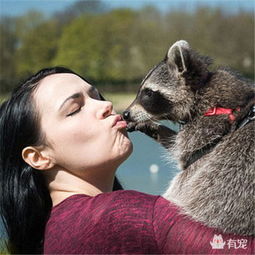 中國飼養浣熊違法嗎,這種動物看著比較萌,還好合法
