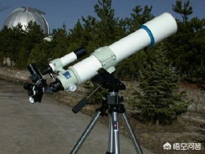 天文望遠鏡看太陽嚇人，有人拿豬眼做過實驗