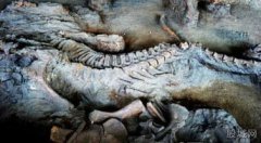 中國不敢公開發(fā)現(xiàn)龍，北京出現(xiàn)兩條真龍真相揭秘