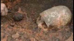 俄出土奇怪頭骨,和人類頭骨相差甚遠