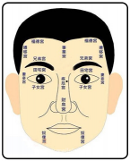 dl代表男女什么意思