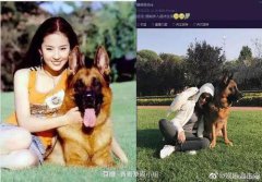 劉亦菲命理分析及預言