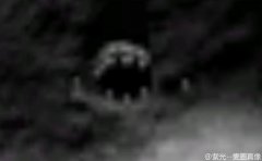 來自2048年男子消失了 他預言外星人會在2020年進攻地球