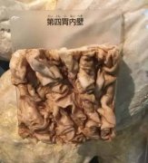 牛百葉是牛的什么部位?實際上就是牛胃,和牛肚區別不大