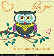 貓頭鷹進屋的預言