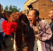 白鹿原是真實的嗎