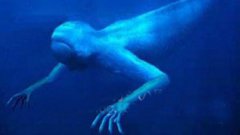 南極“人形海怪”之謎,對(duì)人形海怪的種種猜想