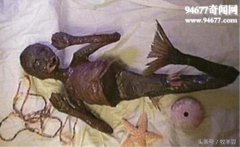 美人魚吃小孩是真是假,美人魚生性嗜血是她吃人的一大原因
