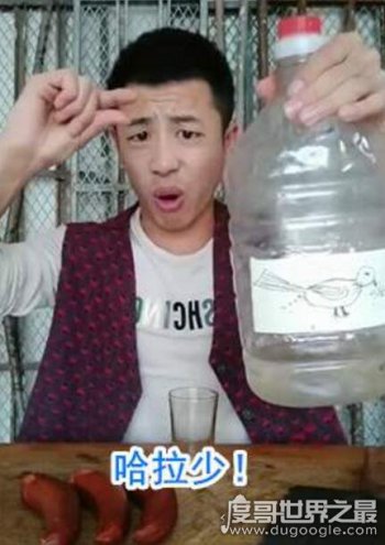 抖音上的小鳥伏特加什么意思，小鳥伏特加無情哈拉少