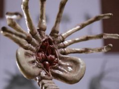 異形殘忍血腥的抱臉蟲,惡心寄生過程(重口味慎入)