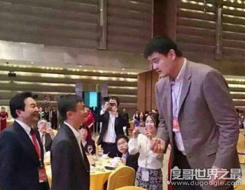 馬云身高只有153cm，馬云姚明同框完美呈現最萌身高差