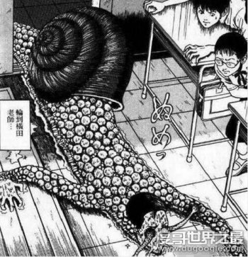 令人頭皮發麻的的蝸牛人圖片，密集恐懼癥又犯了