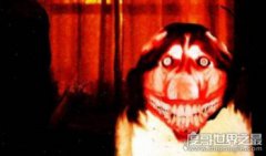 smile dog微笑狗為什么嚇人，明白恐怖原理后再也不怕了