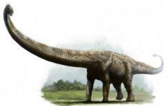 地球史上最大的恐龍，易碎雙腔龍(長達50米／重100噸)