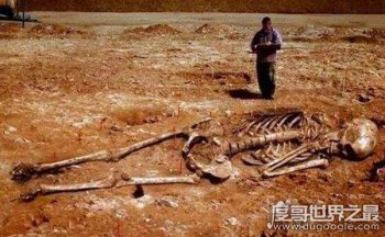 4米中國巨人只剩骸骨,當前中國最高人為鮑喜順(身高2.36米)